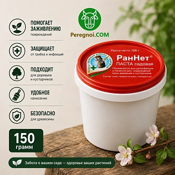 Раннет